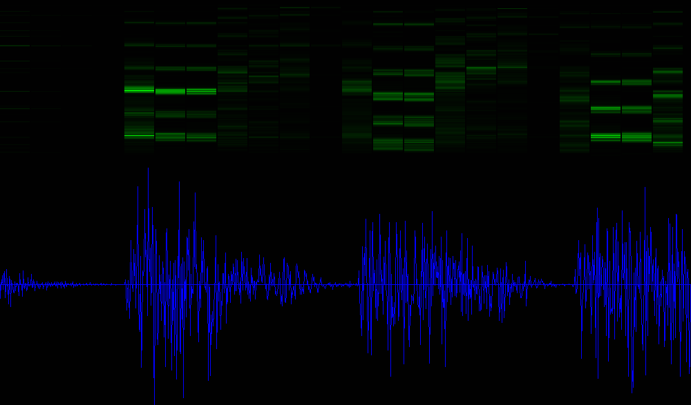 song spectrogram