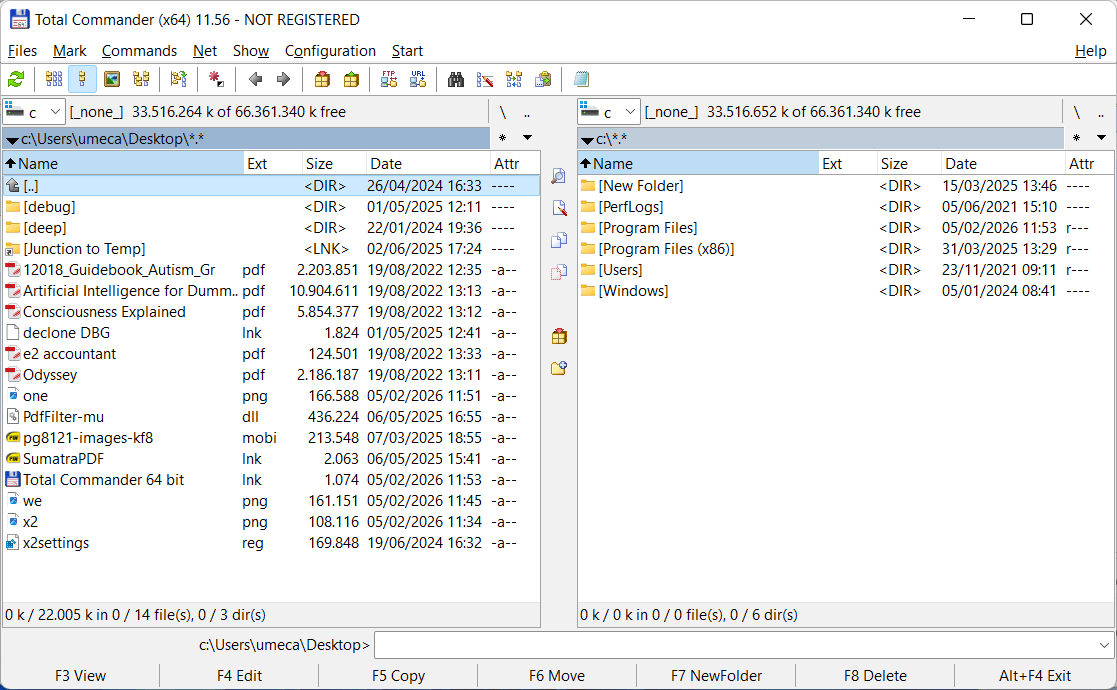 Total Commander main window